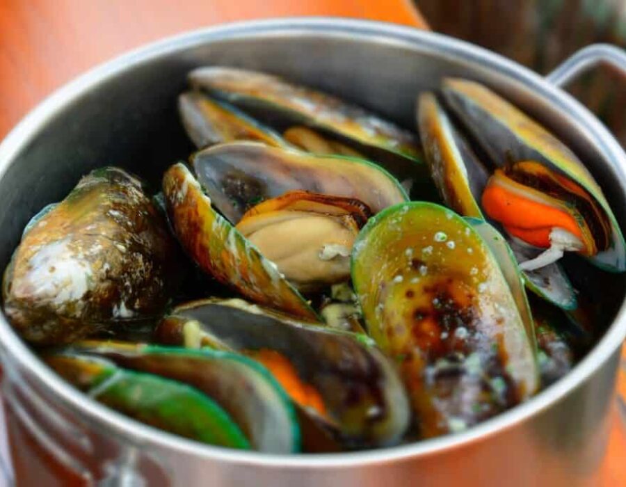 Greenshell mussels in White Wine Sauce